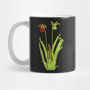 Sweet Pitcherplant - Sarracenia Rubra- Walcott - Botanical Illustration Mug